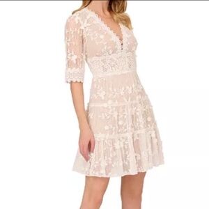 Adrianna Papell V-Neck Lace Embroidered Dress